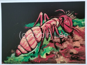 Robin Lee Ant Artwork